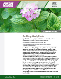 Consumer Horticulture: Fertilizing Woody Plants