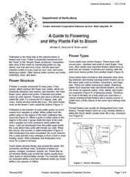 Guide to Flowering and Why Plants Fail to Bloom