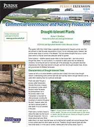 Commercial Greenhouse and Nursery Production: Drought-tolerant Plants