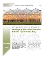 Greenhouse and Indoor Production of Horticultural Crops: Detecting Crop Light Use from Normalized Difference Vegetation Index (NDVI)