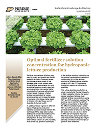 Optimal fertilizer solution concentration for Hydroponic lettuce production