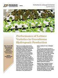 Performance of lettuce varieties in greenhouse hydroponic production