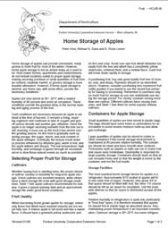 Home Storage of Apples