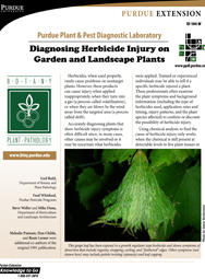 Diagnosing Herbicide Injury on Garden Landscape Plants