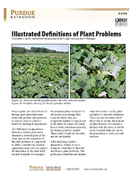 Illustrated Definitions of Plant Problems