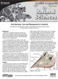 Hoof Anatomy, Care and Management in Livestock