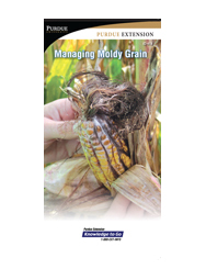 Managing Moldy Grain