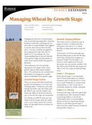 Managing Wheat by Growth Stage