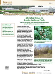 Commercial Greenhouse and Nursery Production: Alternative Options for Invasive Landscape Plants