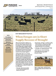 Beef Management Practices: When Forages are in Short Supply Because of Drought