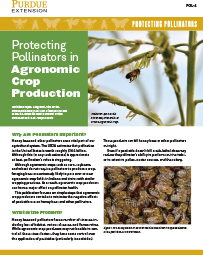 Protecting Pollinators: Protecting Pollinators in Agronomic Crop Production