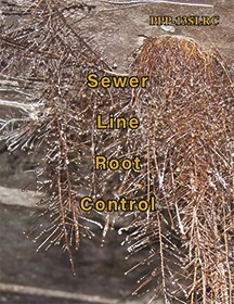Sewer Line Root Control (PDF)