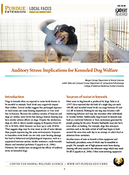 Auditory Stress: Implications for Kenneled Dog Welfare