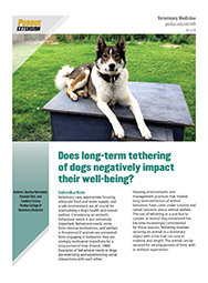 Does long-term tethering of dogs negatively impact their well-being?