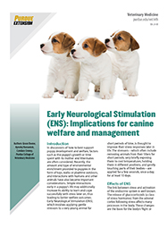 Early Neurological Stimulation (ENS): Implications for canine welfare and management
