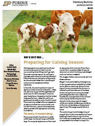 What to Expect When: Preparing for Calving Season