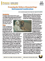 Promoting the Welfare of Kenneled Dogs: Environmental Considerations