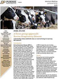 A focus group approach: Bovine Respiratory Disease 