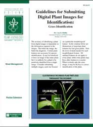 Guidelines for Submitting Digital Plant Images for Identification: Grass Identification