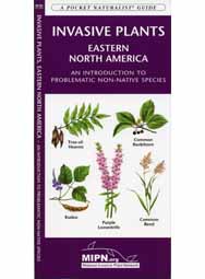 Invasive Plants of the Eastern U.S.: An Introduction to the Problematic Non-Native Species