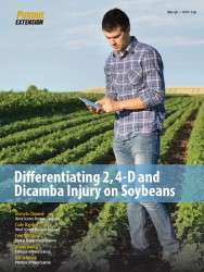 Differentiating 2, 4-D and Dicamba Injury on Soybeans